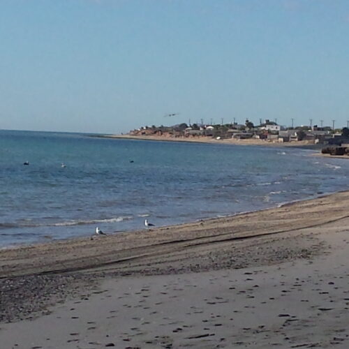 ¥¤¤¥¥¥¦¦¦¦¥¥¥¥