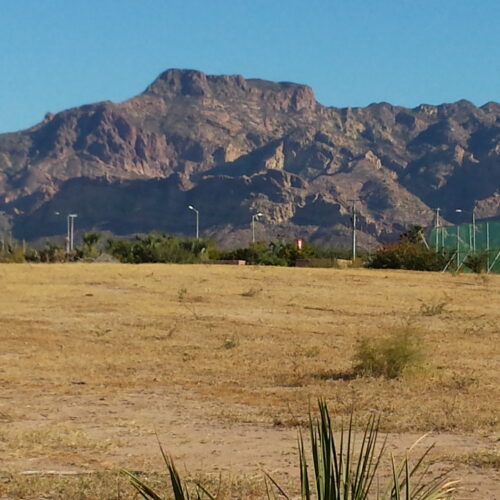 zt