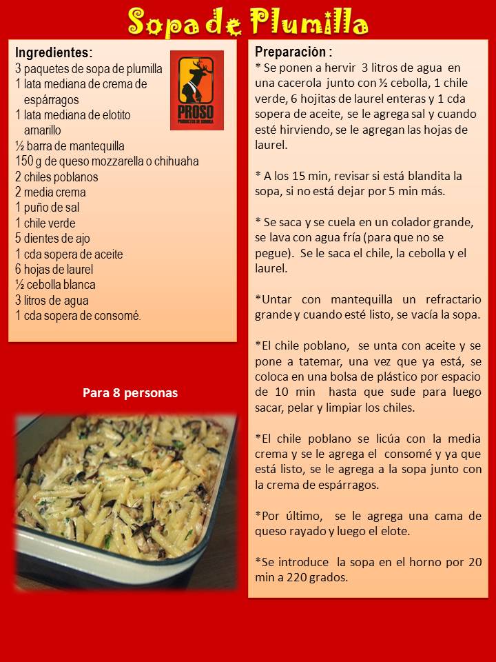 Slide 23 Sopa de Plumilla